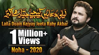 Nohay 2020  Laila Duain Kijiye Jeeta Rahay Akbar  Syed Raza Abbas Zaidi Noha 2020  New Noha 2020 [upl. by Puritan]