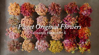 Coming Soon Floret Original Flowers [upl. by Roldan]