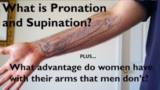 What is Pronation and Supination of the Forearm [upl. by Samara]