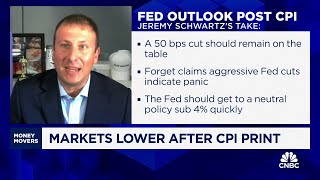 Were worried the Fed will be too slow in cutting says WisdomTrees Jeremy Schwartz [upl. by Alyehs]