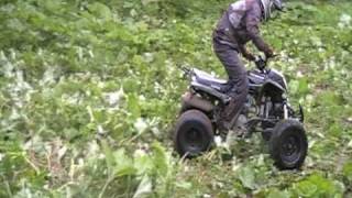 QUAD 250 BASHAN ATV [upl. by Nylekoorb]