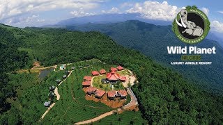 Wild Planet Luxury Jungle Resort Devala Nilgiris  Review by Tech Travel Eat [upl. by Eustache54]