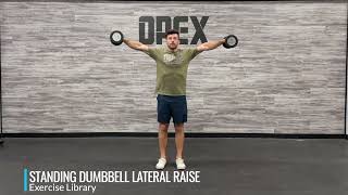 Dumbbell Lateral Raise [upl. by Onirefes290]