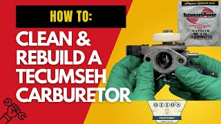 DIY Tecumseh Carburetor Clean amp Rebuild [upl. by Ailalue403]