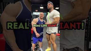 He Makes Everyone Look SMALL shorts bodybuilding [upl. by Lansing976]