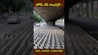 Hostile Architecturefactsintelugu shortvideo youtubeshorts [upl. by Toma21]