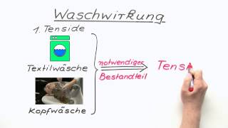 Die Waschwirkung  ein Überblick  Chemie  Organische Chemie [upl. by Elac]