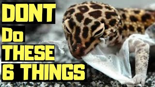 6 COMMON Baby Leopard Gecko Mistakes [upl. by Odnalref]