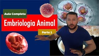 Embriologia Fecundação e Segmentação parte 1 [upl. by Norris]