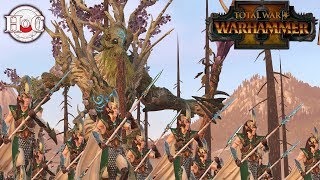 Epic Dawi vs Wood Elves Grudge Match  Total War Warhammer 2  Online Battle 88 [upl. by Becka]