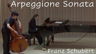 Schubert Arpeggione Sonata [upl. by Fransen]