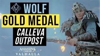 🥇 PREDATOR BOW GOLD Calleva Outpost  Trial of the WOLF  Mastery Challenge Tips  AC Valhalla [upl. by Bohrer]