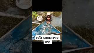 Natural Fish fishing fish fishing nature bangladesh fish fishing honeycomb organicfood [upl. by Dody384]