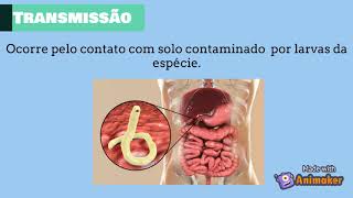 Estrongiloidíase Ascaridíase Ancilostomíase e Enterobíase  Parasitologia [upl. by Aiker]