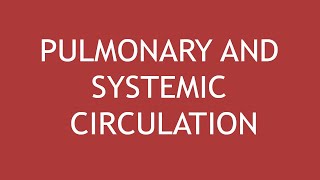 Pulmonary and Systemic Circulation  Dr Shikha Parmar [upl. by Lesya87]