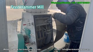 Stable Performance Hammer Mill Grain Hammer Mill for Sale  Herm Machinery feedpelletmills [upl. by Nylissej]