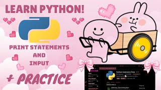 LEARN PYTHON ON YOUR OWN 01 PRINT STATEMENTS amp INPUT  PRACTICE [upl. by Adne]