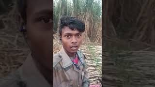 Gatin thing ma santali video mahesh malto santali video 2024 [upl. by Oicnoel]