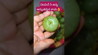 goodhealth healthy manthenasatyanarayanraju vitaminc shortsfeed viralvideo [upl. by Engelbert]