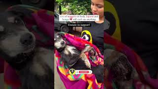 Rescue Dog Ki Story 🐶💖  Dog Rescue  Animal Rescue shorts dogrescue doglover [upl. by Corrine]