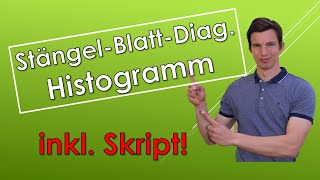 StängelBlattDiagramm und Histogramm mit SKRIPT [upl. by Eralcyram]