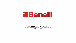 Benelli Super Black Eagle 3 Disassembly  StepbyStep Guide [upl. by Schinica127]