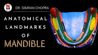 Anatomical Landmarks Of Mandible l Mandibular Landmarks l Prosthodontics [upl. by Kronfeld184]