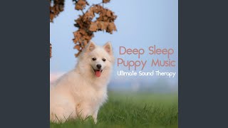 Dog Sounds [upl. by Abih]