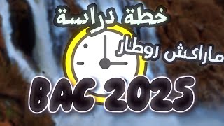 باكالوريا 2025  خطة الدراسة الفعالة  اقرا قل ادي خير BAC 2025 🇩🇿 [upl. by Lindie]