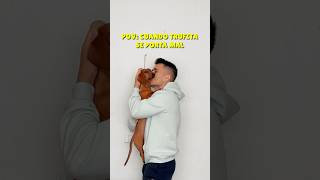 Me REGAÑAN 🥺💔 perrosalchicha dachshund teckel humor perros dog mascotas viral subscribe [upl. by Dyann]