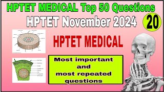 20 hptet Biology MCQs Top 50  November 2024  tgtmedical hptetmedical hptetbiology [upl. by Karlis175]