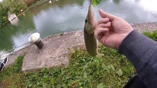 Pêche du brochet du bord en streetfishing [upl. by Koehler724]