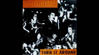 The Trilobites ‎– Turn It Around 1987 [upl. by Avonasac]