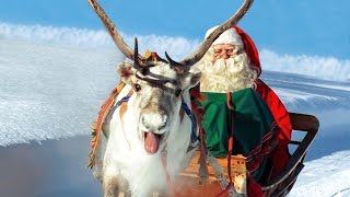 Rennes du Père Noël en Laponie 🦌🎅 vrai Papa Noël à Rovaniemi Finlande  Village du Père Noël [upl. by Rod]