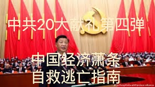 平论直播｜中共20大献礼第四弹，中国经济萧条自救逃亡指南 20221019 [upl. by Aicekal]