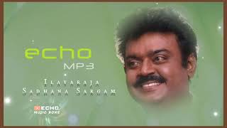 Vaanaville Vaanaville 🎼❤️  Ramana  Ilayaraja  Sadhana Sargam  Echo Effects MP3 echomusiczone [upl. by Ayahc]