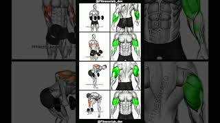 Arm workout with dumbbell motivationwork workout fitness shorts armsworkout [upl. by Htebyram34]