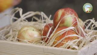 Uno chef rubato allagricoltura  Tartare di gamberoni con pesche noci [upl. by Aleksandr144]