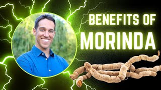 Benefits of Morinda  The Adaptogen for Unparalleled Strength and Vitality [upl. by Richards23]