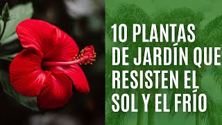 10 PLANTAS de jardín que resisten el CALOR y el FRÍO [upl. by Roel354]