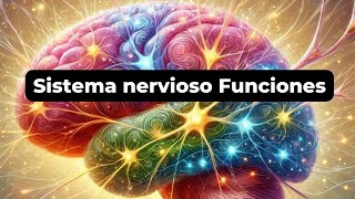 Descubre los Secretos del Cerebro Cómo Funciona el Sistema Nervioso [upl. by Lau]