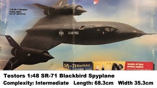 Large Scale Testors 148 SR71 Blackbird Spyplane Kit Review [upl. by Anat]