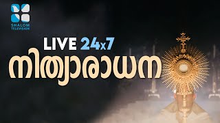 🔴 Perpetual Adoration Live Stream  24x7 നിത്യാരാധന  ShalomTelevision [upl. by Seidnac]