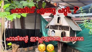 ഫാമിന്റെ ഇപ്പോളത്തെ അവസ്ഥ 😒😒 [upl. by Aneroc]