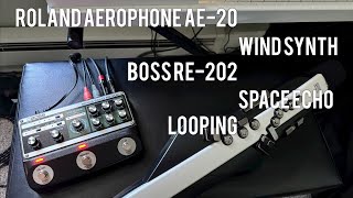 Boss RE202 Space Echo SoundOnSound Looping Improvisation  Roland Aerophone AE20 Wind Synth [upl. by Flinn]