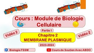 Biologie Cellulaire BCG S1  Partie de la membrane plasmique vidéo 2 [upl. by Hal]