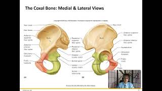 Bones of the Lower Extremity [upl. by Grayson767]