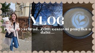 VLOG  Náš výlet do Prahy amp dm baby dračík haul [upl. by Acinad356]