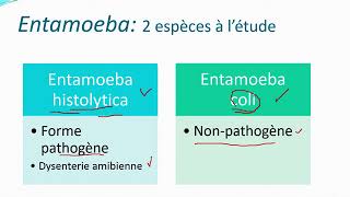 Chapitre 10 Parasitologie partie 2 Les protozoaires [upl. by Peter]