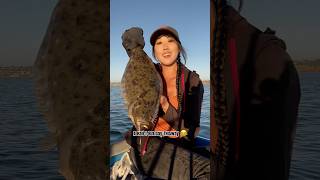 Skiff Day Part 2  Anchovies fishing boatfishing sportfishing halibut fishinglife fishon [upl. by Lion492]